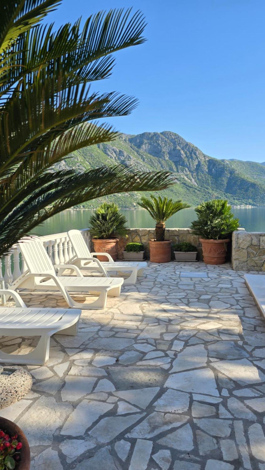 Apartman Chantal Kotor